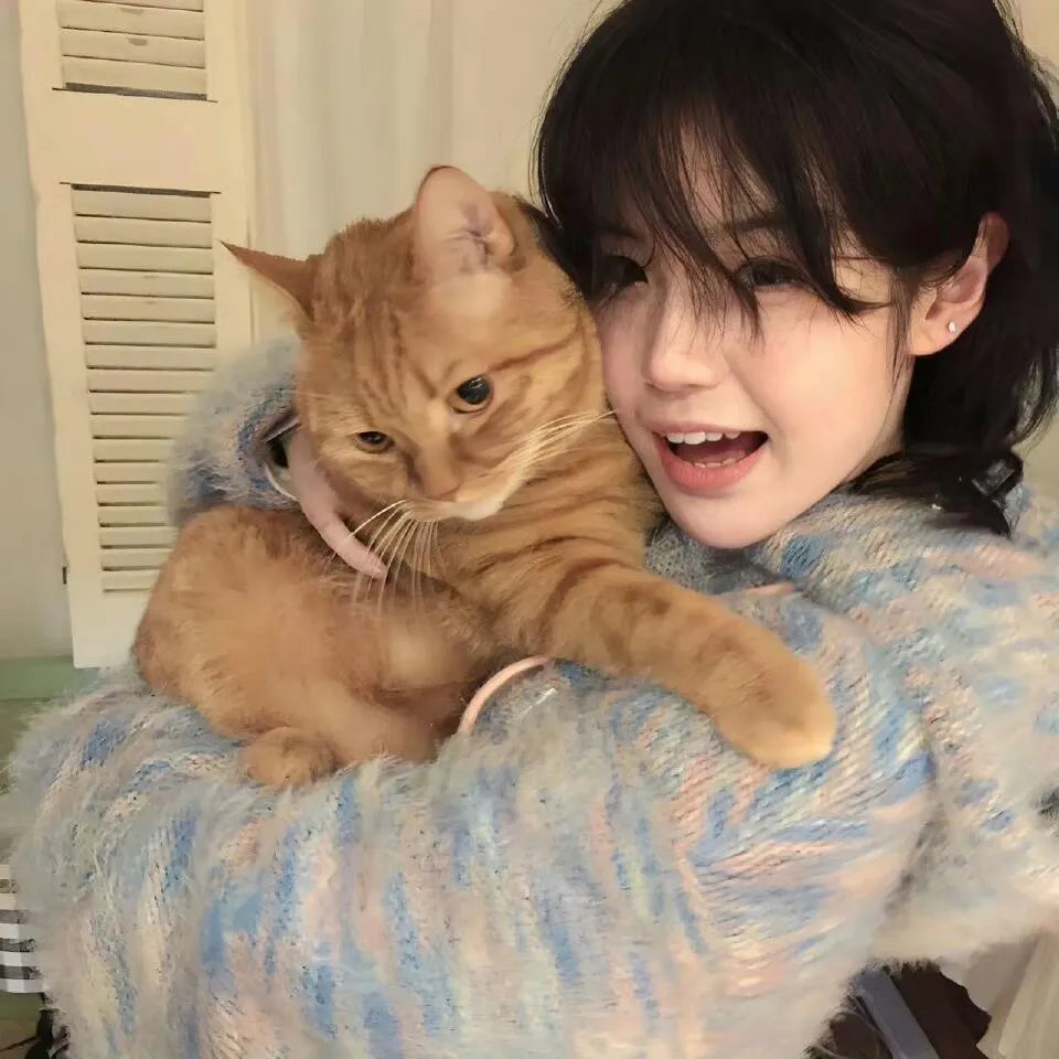 御猫三戏锦毛鼠